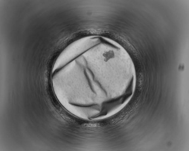 X0000099500639200806121416