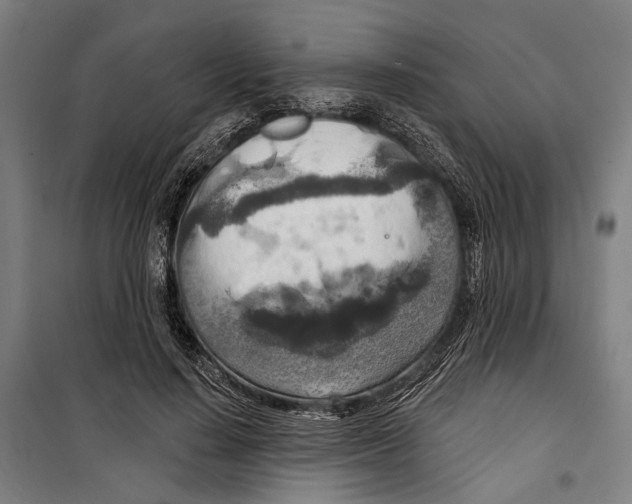 X0000099500644200806121416