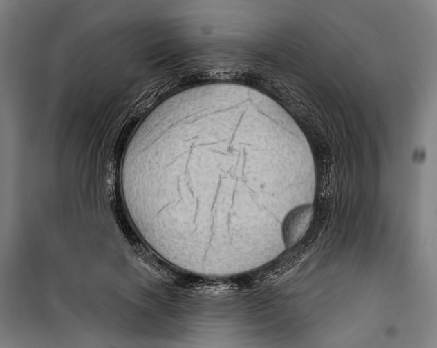 X0000099500646200806121416