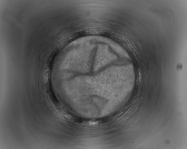 X0000099500647200806121416