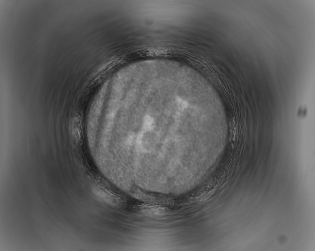 X0000099500648200806121416