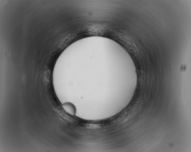 X0000099500649200806121416