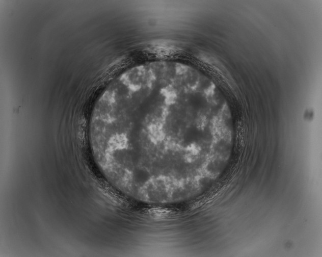 X0000099500650200806121416