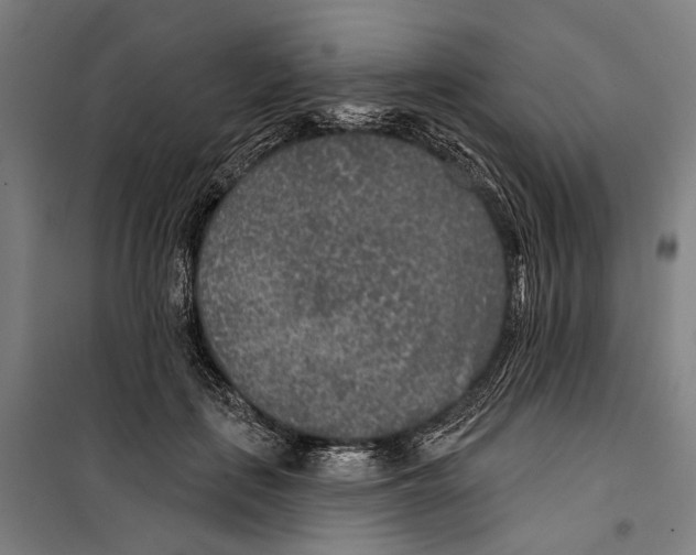 X0000099500651200806121416