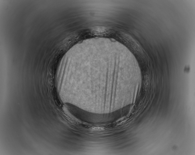 X0000099500653200806121416