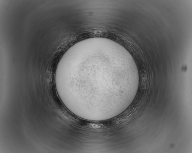 X0000099500654200806121416