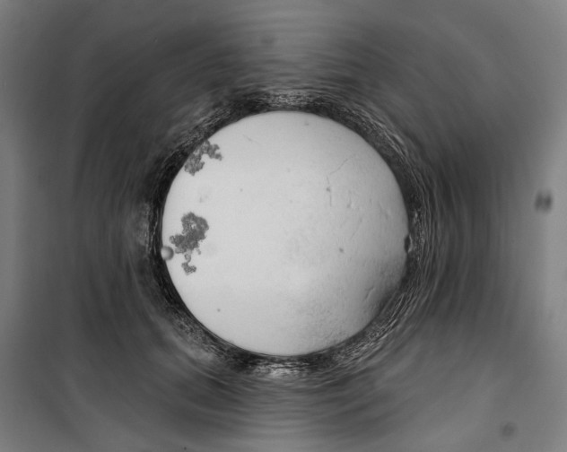 X0000099500655200806121416