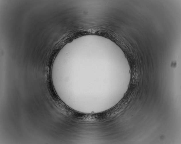 X0000099500656200806121416