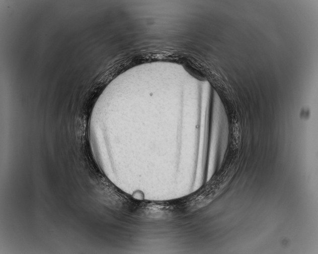 X0000099500657200806121417