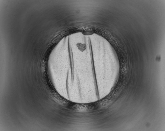 X0000099500658200806121417