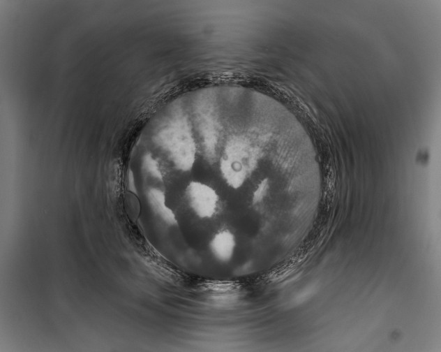 X0000099500659200806121417