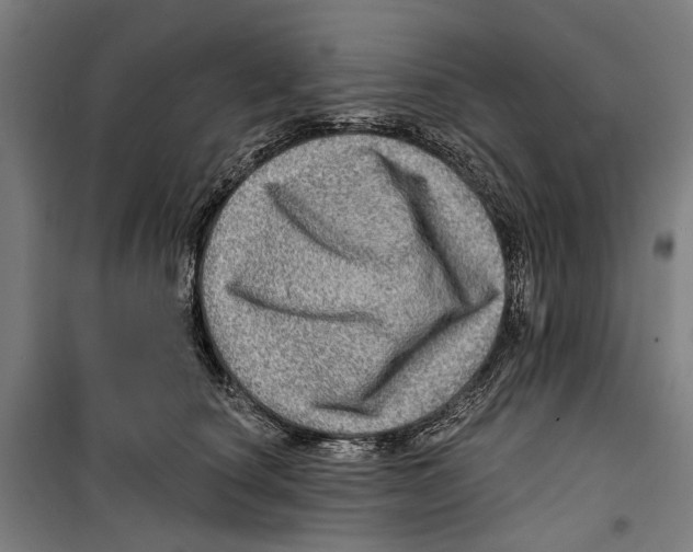 X0000099500660200806121417