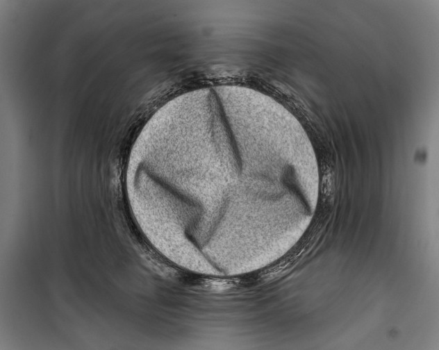 X0000099500662200806121417