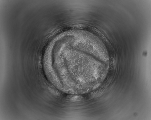 X0000099500663200806121417