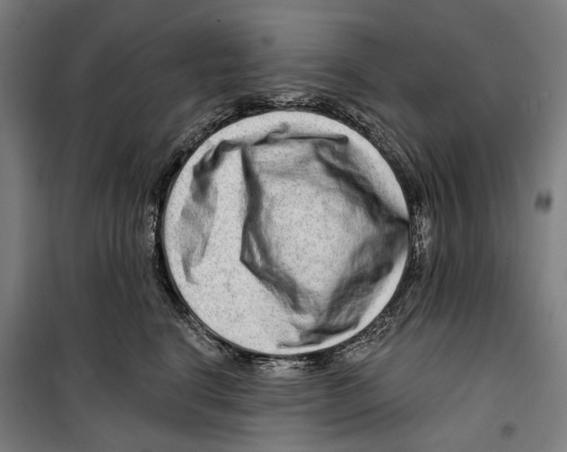 X0000099500664200806121417