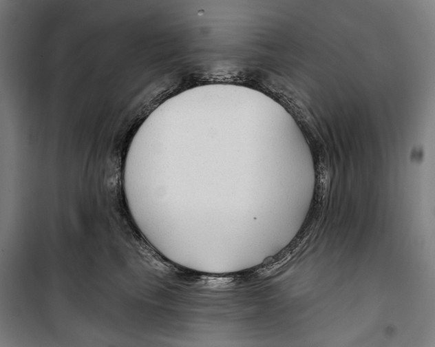 X0000099500665200806121417