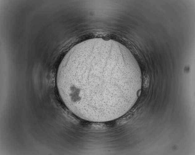 X0000099500666200806121417