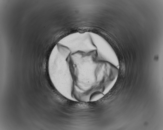 X0000099500668200806121417