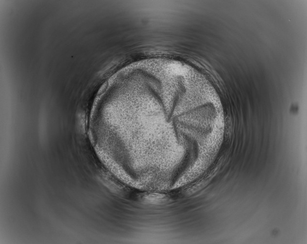 X0000099500669200806121417