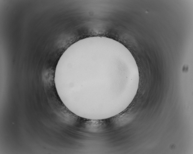 X0000099500672200806121417