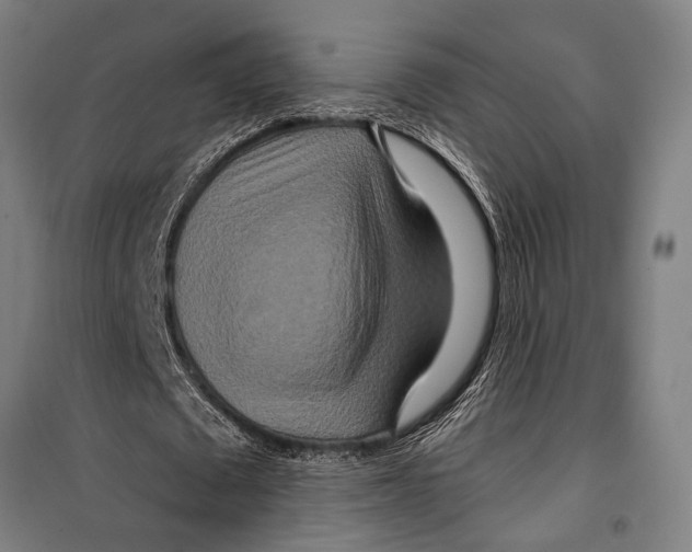 X0000099500673200806121416