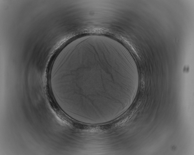 X0000099500674200806121416