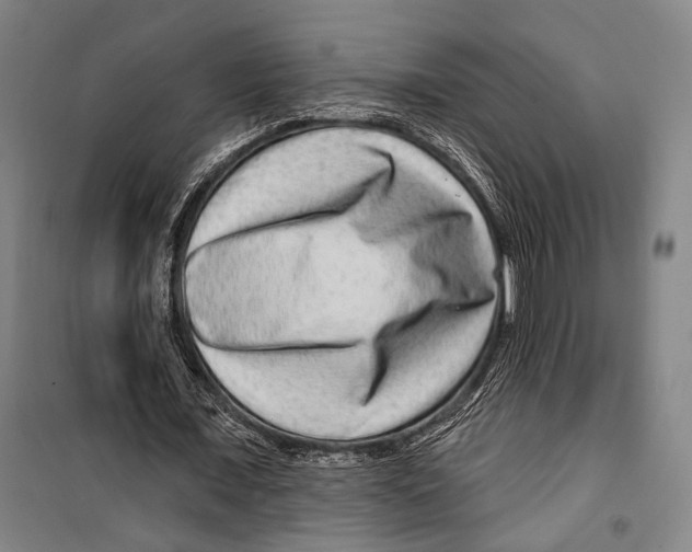 X0000099500675200806121416