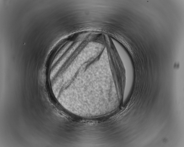 X0000099500676200806121416