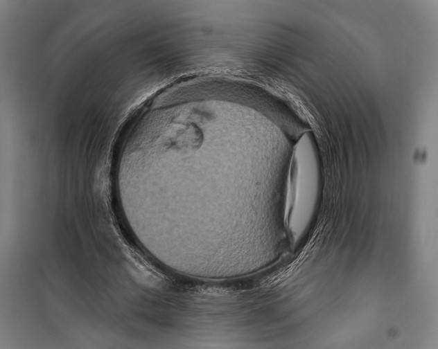 X0000099500677200806121416