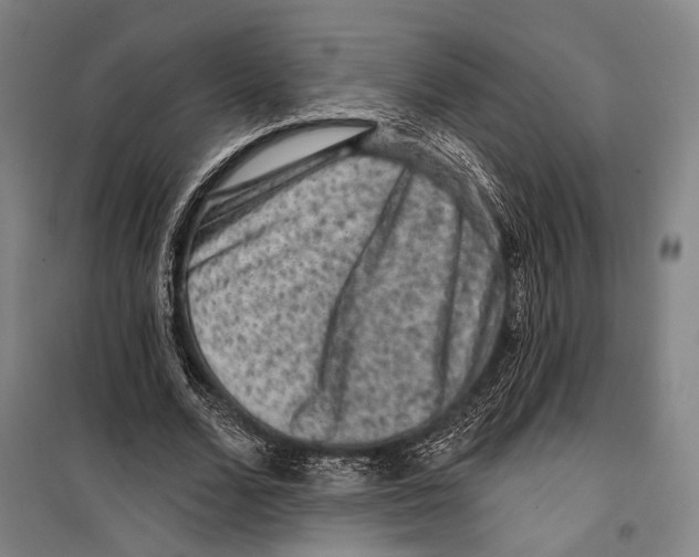 X0000099500680200806121416