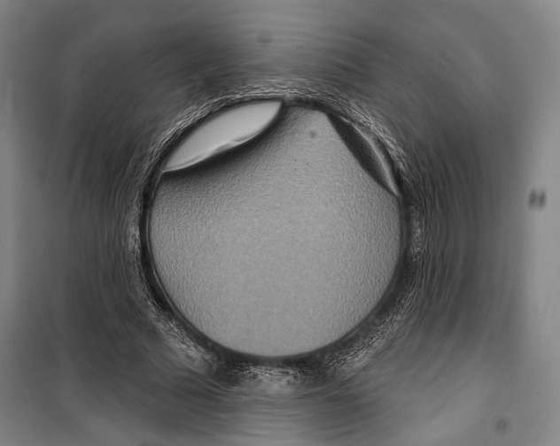 X0000099500681200806121416