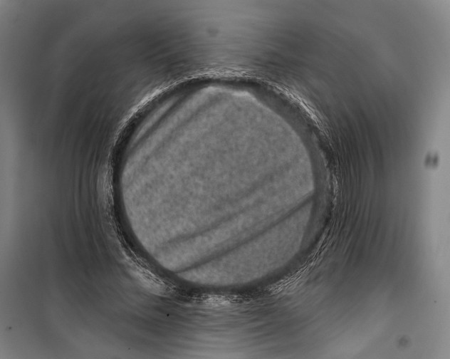 X0000099500684200806121416