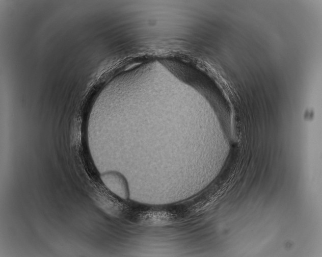 X0000099500685200806121416