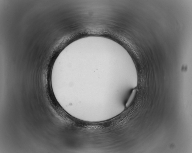 X0000099500686200806121416