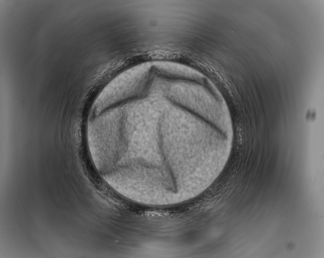 X0000099500690200806121416