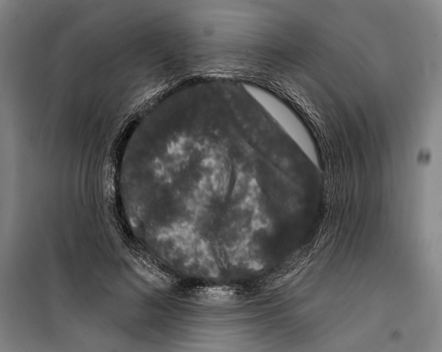 X0000099500692200806121416