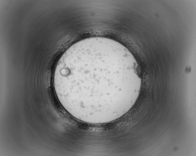 X0000099500694200806121416