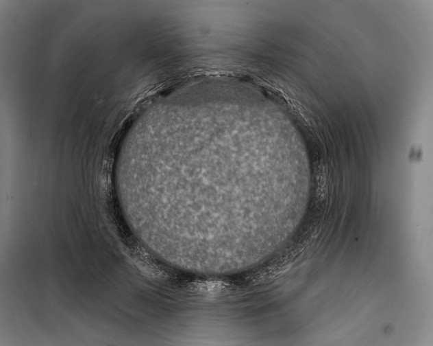 X0000099500695200806121416