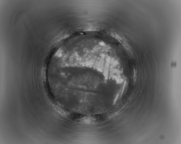 X0000099500696200806121416