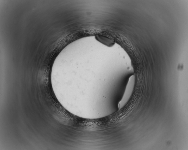 X0000099500697200806121416