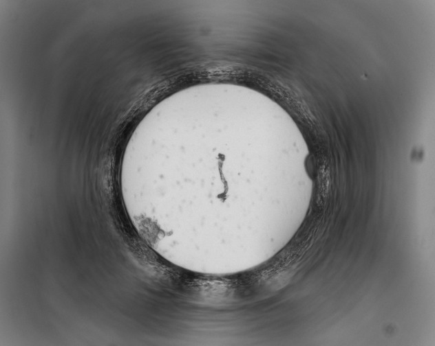 X0000099500698200806121416