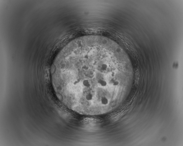 X0000099500699200806121416