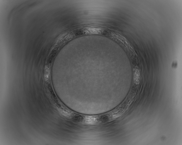 X0000099500701200806121416