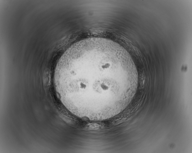 X0000099500703200806121416