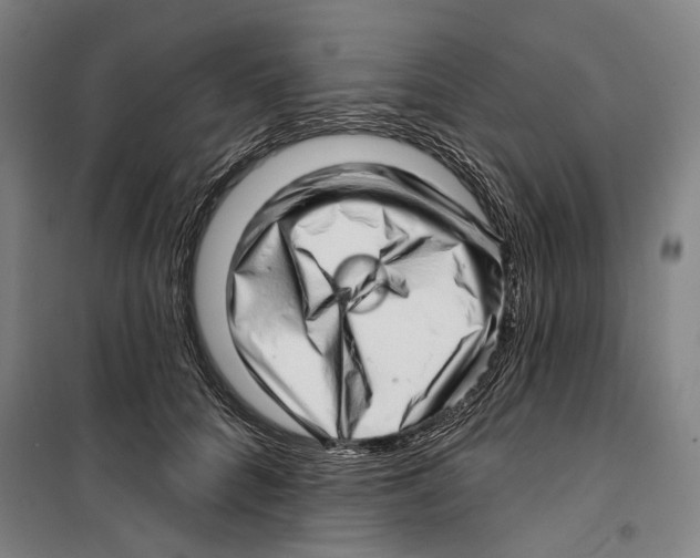 X0000099500704200806121416