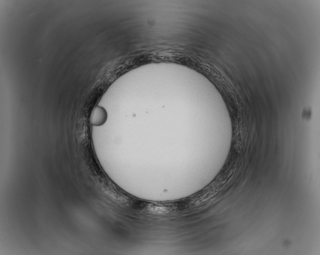 X0000099500706200806121416