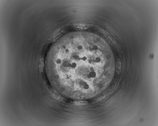 X0000099500707200806121416