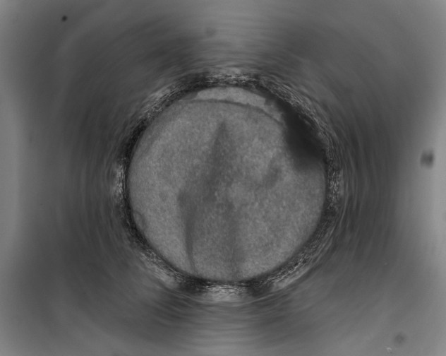 X0000099500708200806121415