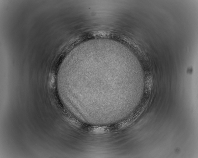 X0000099500709200806121415