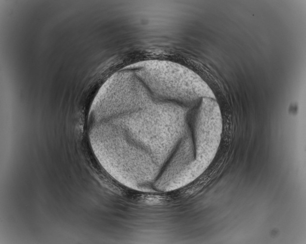 X0000099500710200806121415